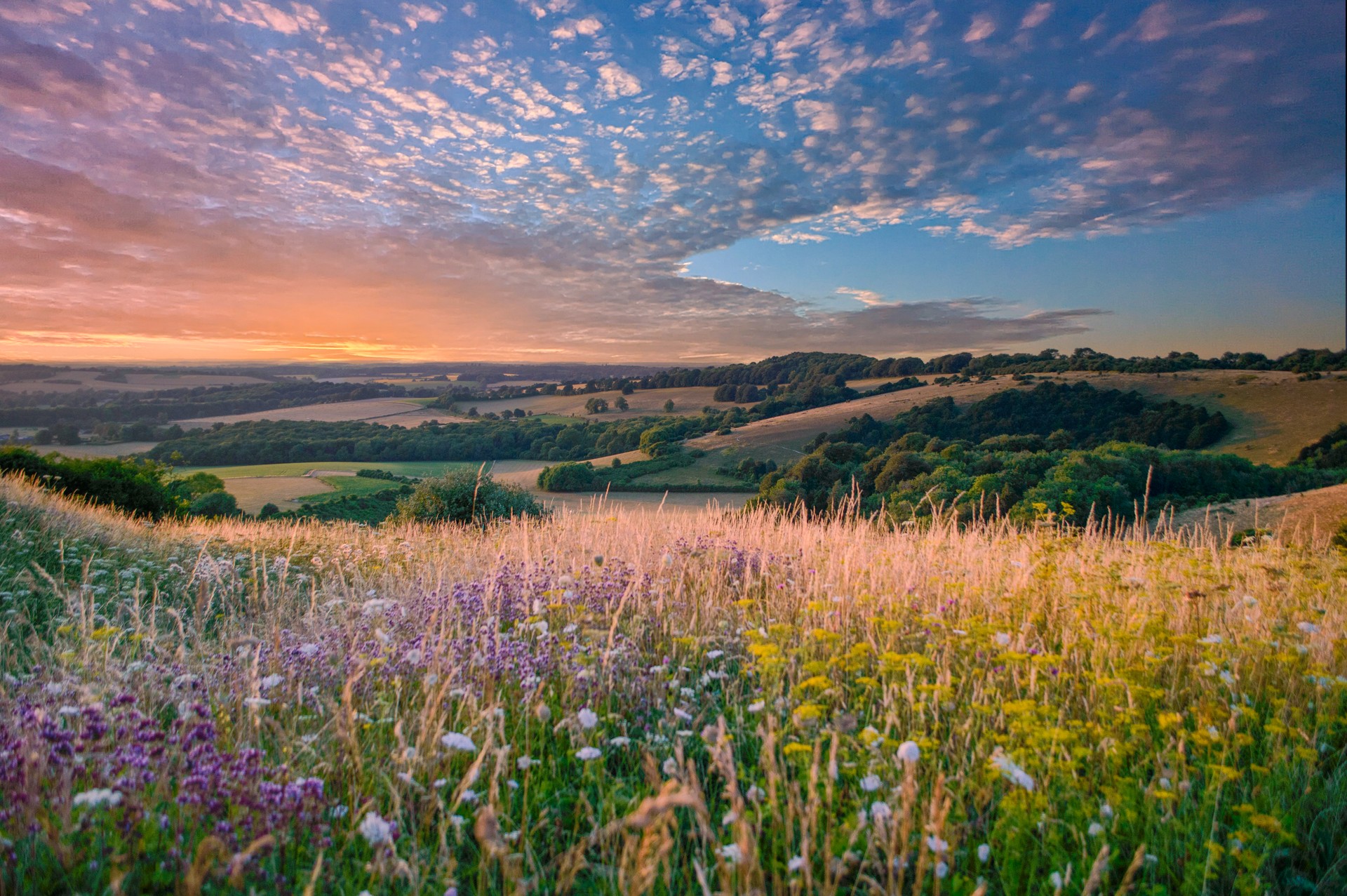 South Downs Landscape